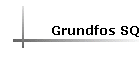 Grundfos SQ