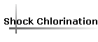 Shock Chlorination